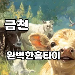 금천-완벽한-홈타이.webp