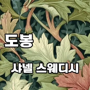 도봉-샤넬-스웨디시.webp