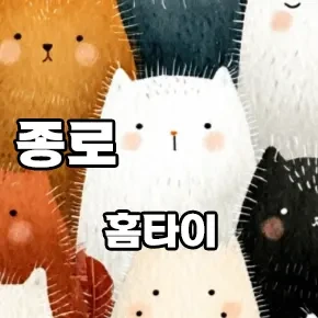 종로-홈타이.webp