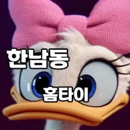 💫 한남동 홈타이, 도심 속 프라이빗 힐링의 정점