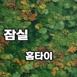 🌿 잠실 홈타이 예약 급증! 인기 있는 이유는?