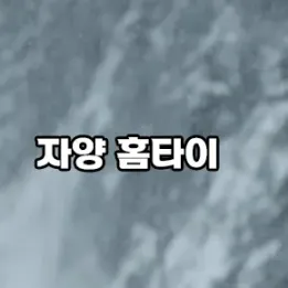 🌙 자양동 홈타이 – 일상에 지친 몸, 조용한 힐링의 시작