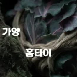 🌙 가양동 홈타이: 내 방 안에서 완성되는 고요한 회복