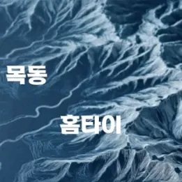 🧘 목동 홈타이: 혼자만 알고 싶은 힐링의 공식