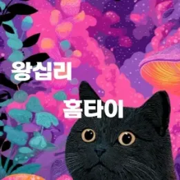 🧖 왕십리 홈타이 | 이동 없이, 집에서 받는 진짜 힐링